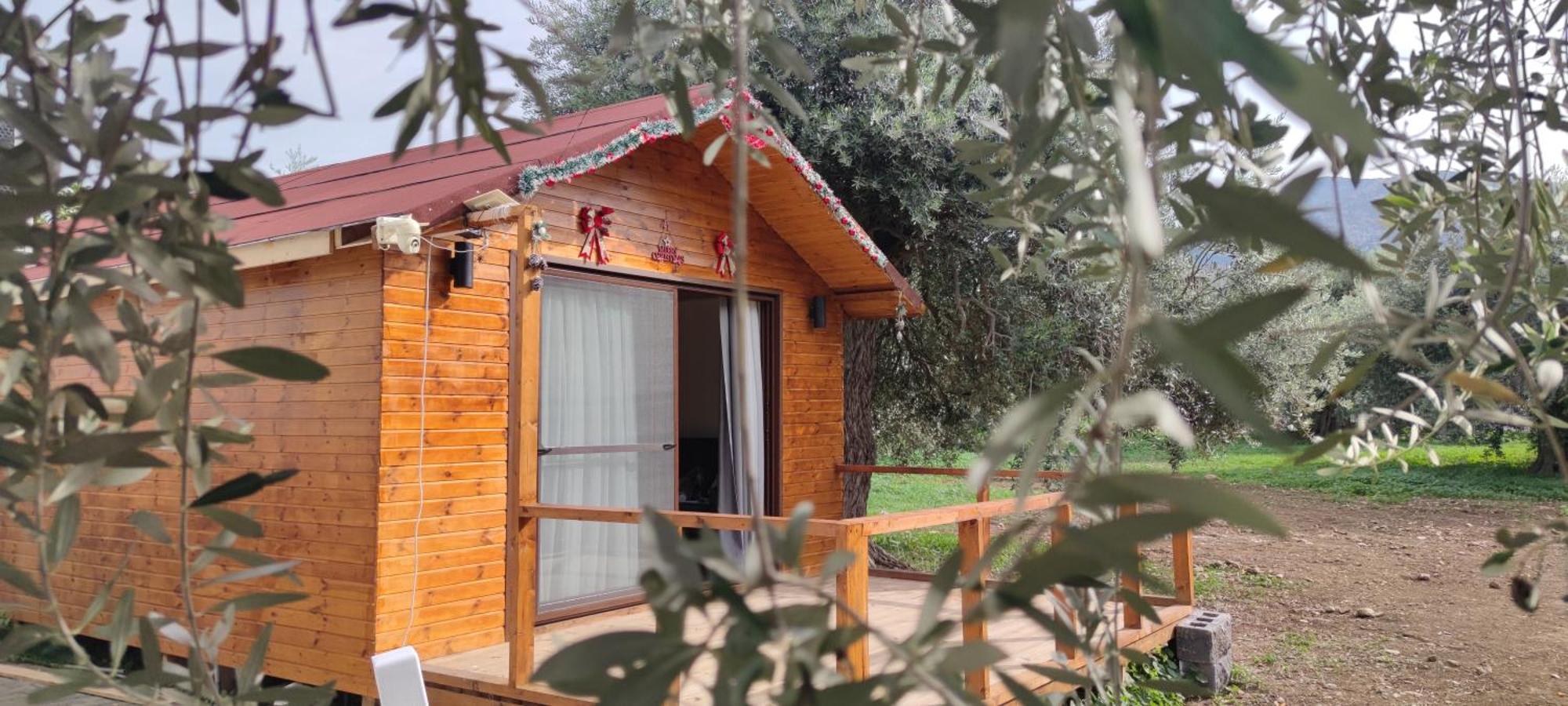 Suluca Homes キレニア エクステリア 写真